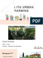 Apa Itu Urban Farming