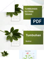 Tumbuhan, Nutrisi, Dan Tanah