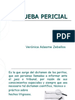 prueba-pericial-1216615138638031-8