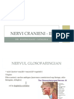 Nervi Cranieni - III