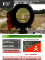 AMBIENTALISTAS ASSASSINADOS