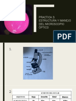 Practica 3. Estructura Y Manejo Del Microscopio Óptico