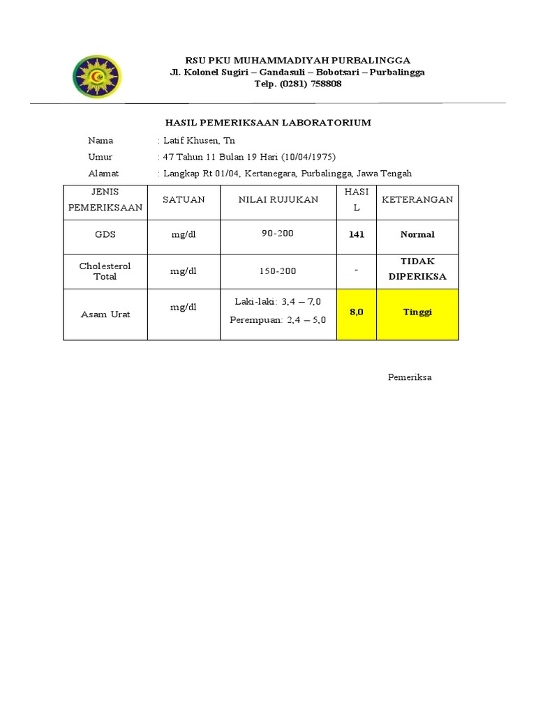 Surat Hasil Pemeriksaan Lab Sederhana PDF