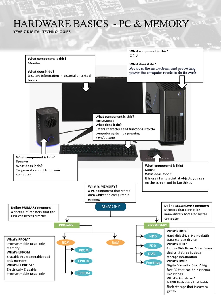 Hardware Basics Worksheets PDF Computer Data Storage Read Only Memory