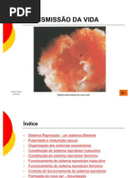 Transmissao Da Vida Florbela Oliveira