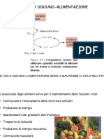 CicloDigiuno_Alimentazione