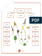 Food Webs: Energy Trophic Level Producer