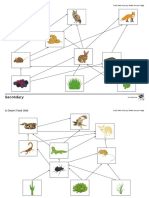 A Woodland Food Web: Food Webs Activity Sheets Answer Page