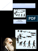 Teorias de La Evolucion 3RO