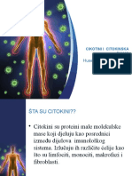 Husejnović Habiba I-4: Cikotini I Citokinska Oluja