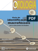 Identificação: Macrofósseis