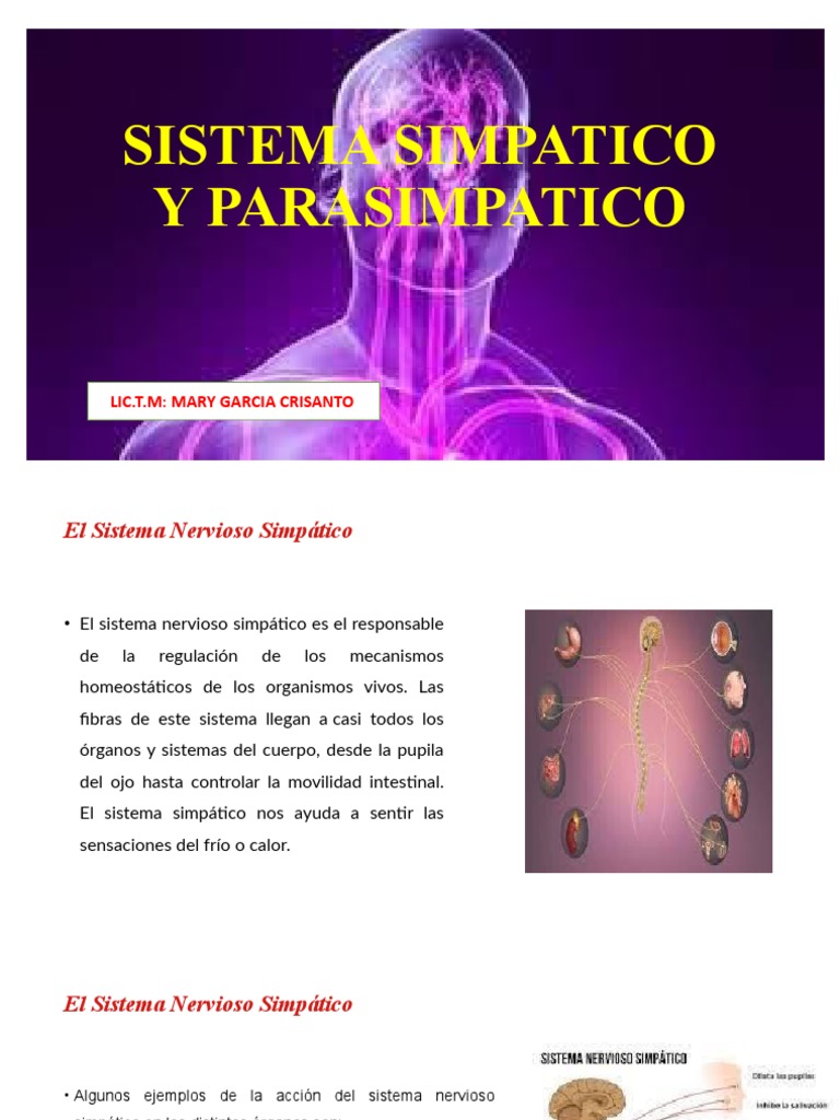 Sistema Simpatico Y Parasimpatico: Lic.T.M: Mary Garcia Crisanto | PDF