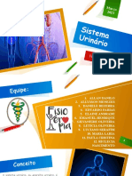 Sistema Urinário - FISIOTERAPIA UNIPLAN