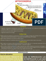 MITOCONDRIA PDF Apunte PW
