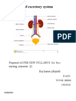 Anatomy of Excretory System: Prepared AS PER NEW SYLLABUS For BS.C Nursing, Semester (I) Raj Kumar Jillepalli