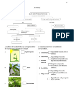 Los-Seres-Vivos-Responden-A-Estimulos - Octavo