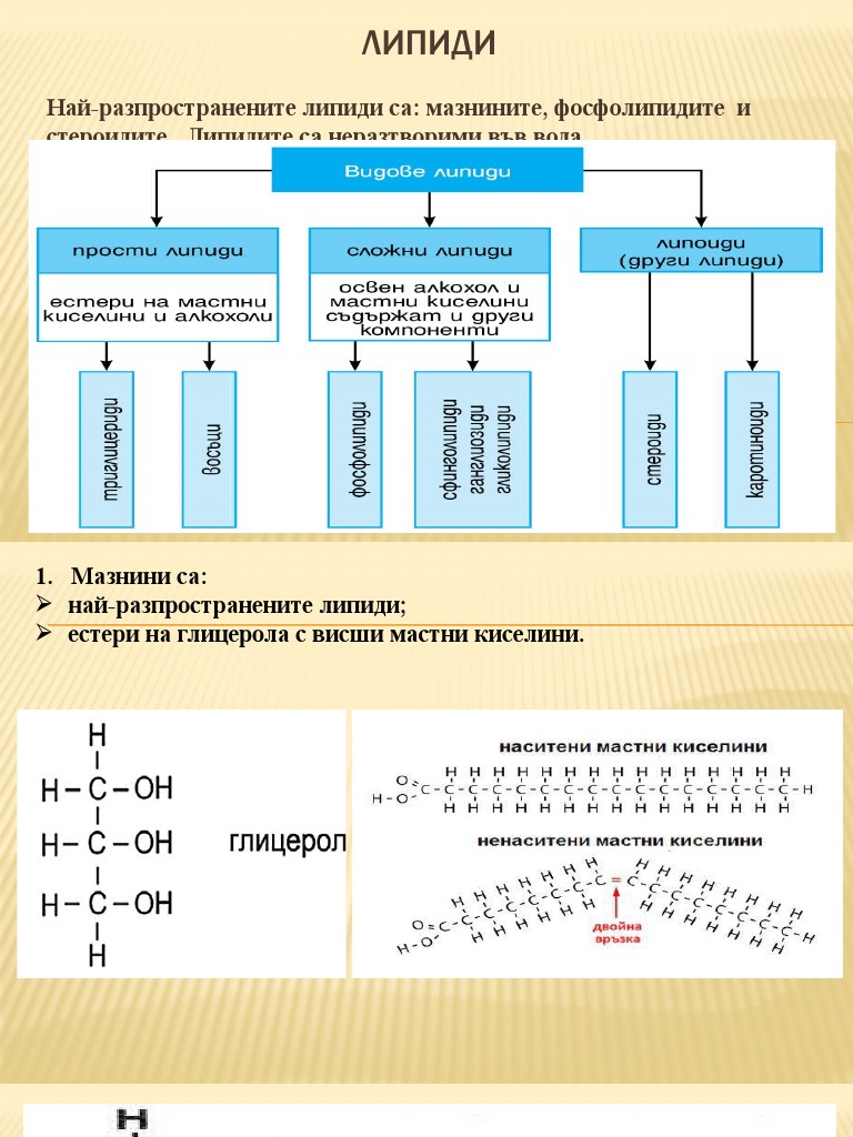 LIPIDI | PDF