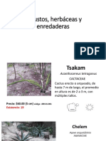 Catalogo Arbustos Hierbas Enredaderas