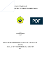 Ari-Resume Konsep Askepkeluarga