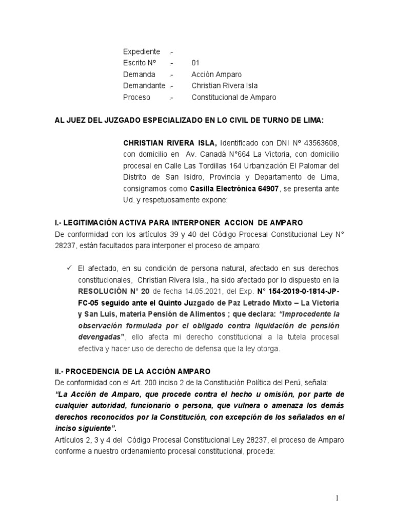 Demanda Accion de Amparo | PDF | Demanda judicial | Ley procesal