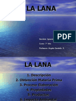 Lana: fibra natural y proceso