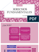 5 Derechos Fundamentales