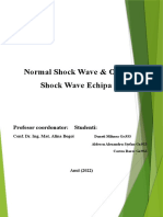 Normal Shock Wave & Oblique Shock Wave Echipa 10: Profesor Coordonator: Studenti