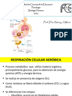 TP2 Respiración Celular