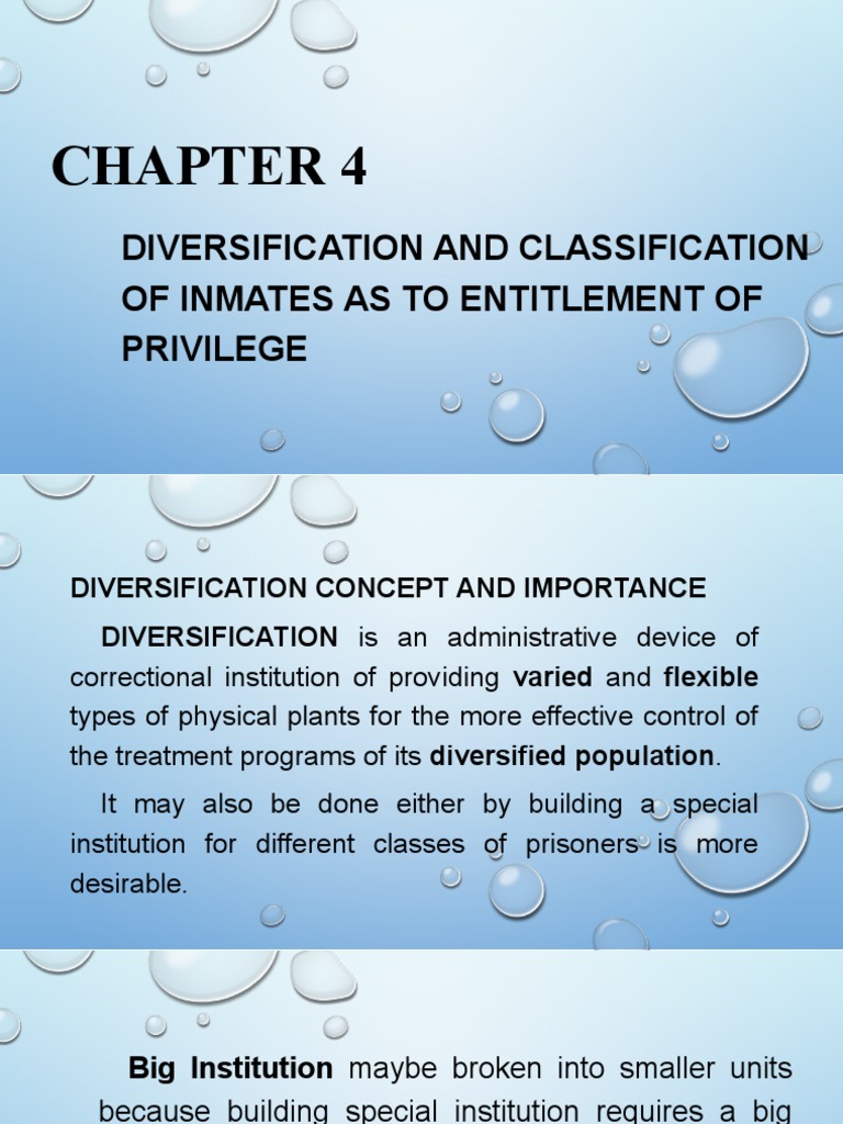 Inmate Classification and Privileges | PDF | Prison | Prisoner