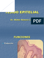 Tejido Epitelial: Dr. Walter Romero Laos