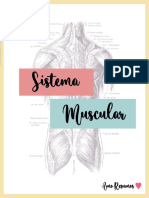 Sistema Muscular Resumo Natalia Porto 3