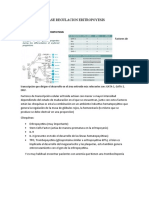 Clase Regulacion Eritropoyesis: Factores de