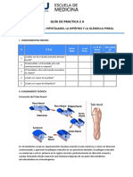 Guía de Practica 2 A: Embriología Del Hipotálamo, La Hipófisis Y La Glándula Pineal