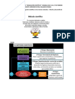 Etapas investigación científica ciencias naturales