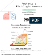 Anatomia e Fisiologia Humanas: Professor Raphael Lopes Farmacêutico Mestrando em Farmacologia UFPR Sistema Tegumentar