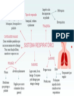 Sistema Respiratório: Cavidades Nasais, Faringe, Laringe, Traqueia, Brônquios, Bronquíolos e Pulmão