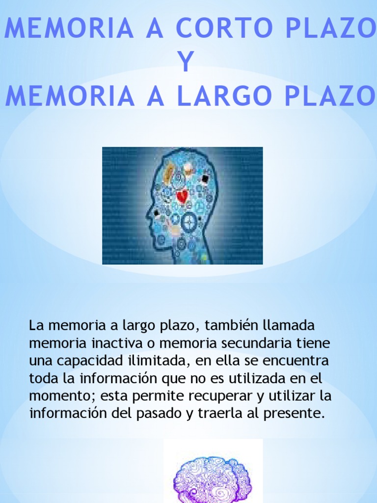 Memoria a Corto y Largo Plazo | PDF
