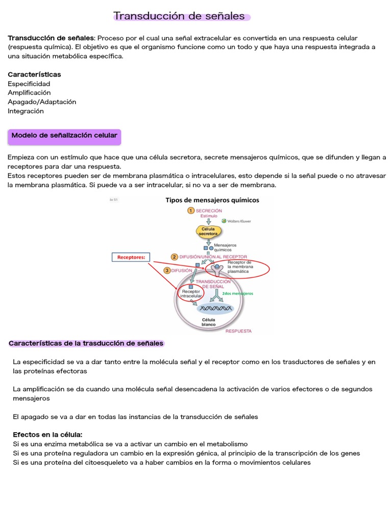 Transducción de Señales | PDF | Receptor (Bioquímica) | Transducción de ...