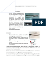 Técnica Quirurgica de Exodoncia