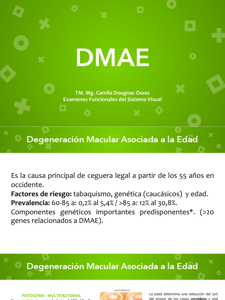 TM. Mg. Camila Dougnac Osses Examenes Funcionales Del Sistema Visual ...