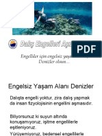 Dalış Engel Tanım