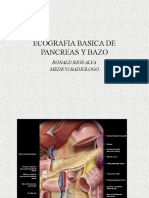 Bazo y Pancreas Cortes
