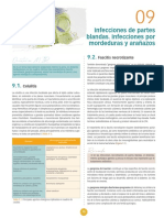 Tema 11. Infección Piel y Partes Blandas. Osteomielitis