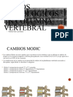 Signos Radiologicos en Columna Vertebral: Internado Clínico UDP Profesor Guía: Luis Bulnes
