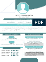 CV Javier Chambi Pineda PDF