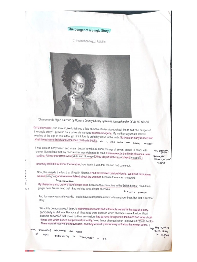 the-danger-of-a-single-story-pdf