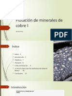 Flotación de Minerales de Cobre I: Metalurgia