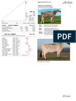 Dairy Bull - 551BS01439 - Kulp-Gen Can Decide ET