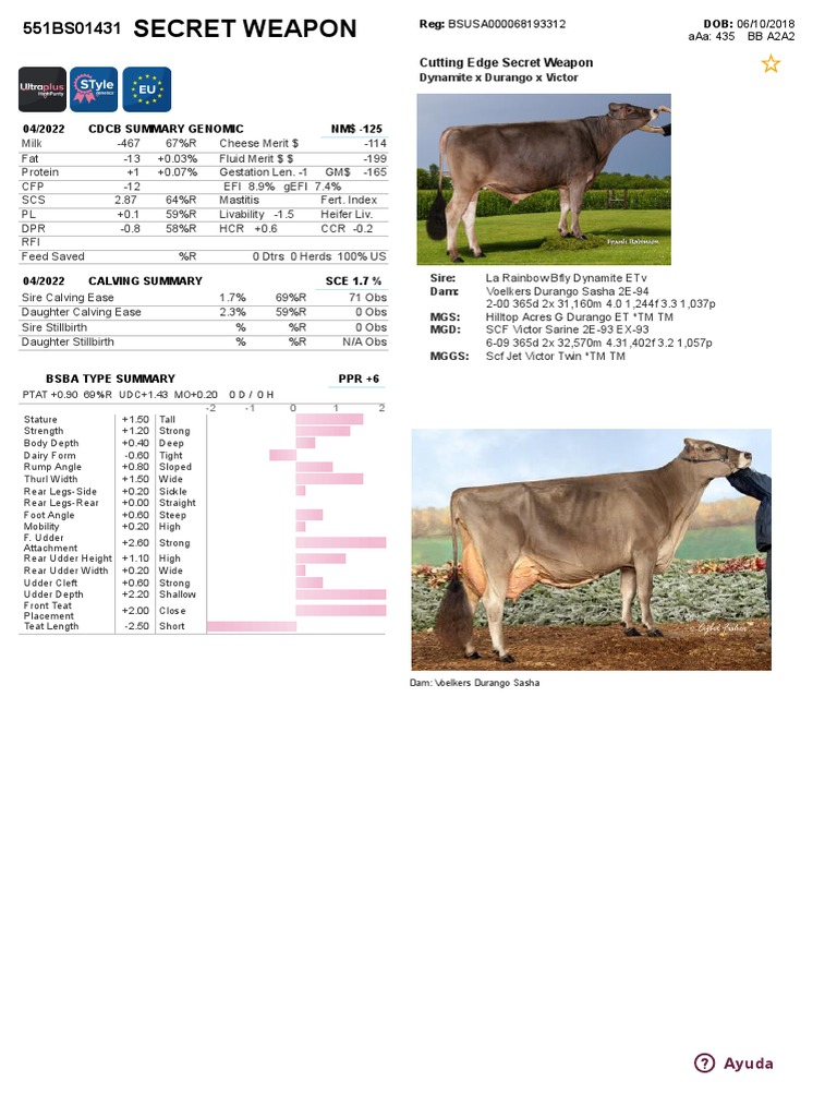 Genomic Summary: Secret Weapon Bull | PDF | Animals And Humans | Bovines