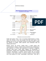 Desenvolvimento Motor Da Criança